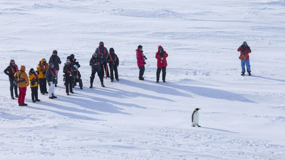 OTL30-25, Day 16, Emperor penguin and guests © Sara Jenner - Oceanwide Expeditions.jpg
