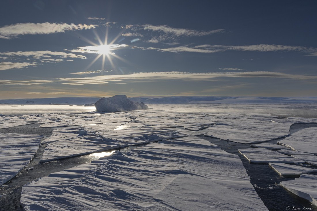 OTL30-25, Day 16, Sea ice © Sara Jenner - Oceanwide Expeditions.jpg
