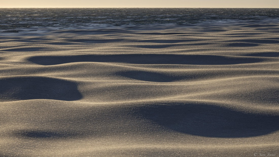 OTL30-25, Day 17, Pancake Ice 1 © Sara Jenner - Oceanwide Expeditions.jpg