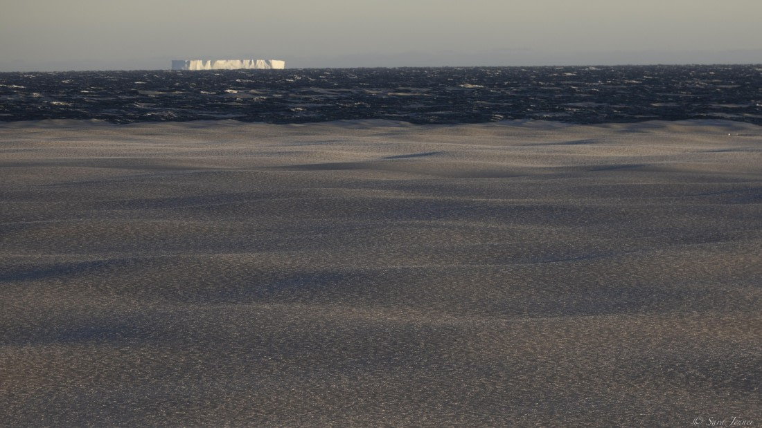 OTL30-25, Day 17, Pancake Ice 4 © Sara Jenner - Oceanwide Expeditions.jpg