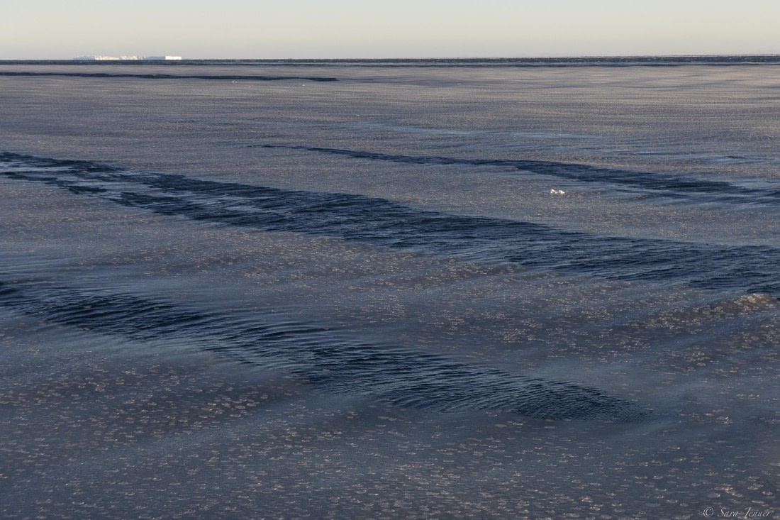 OTL30-25, Day 18, Sea freezing © Sara Jenner - Oceanwide Expeditions.jpg