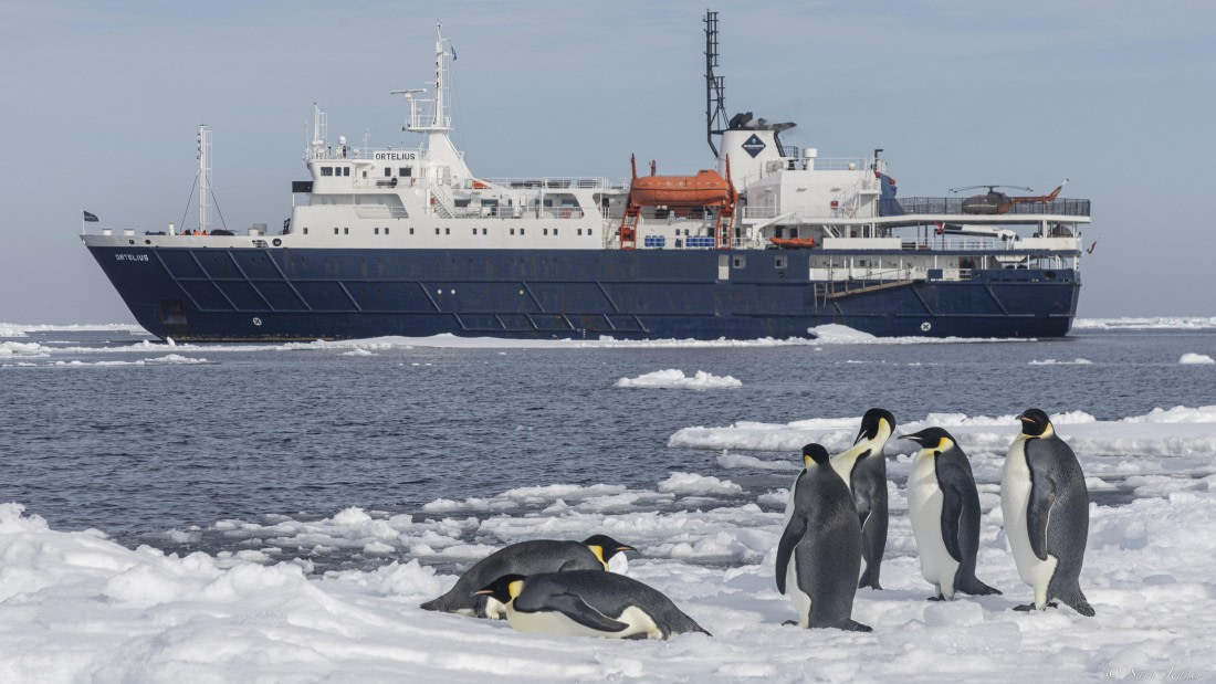 OTL30-25, Day 22, Emperor penguins 9 © Sara Jenner - Oceanwide Expeditions.jpg