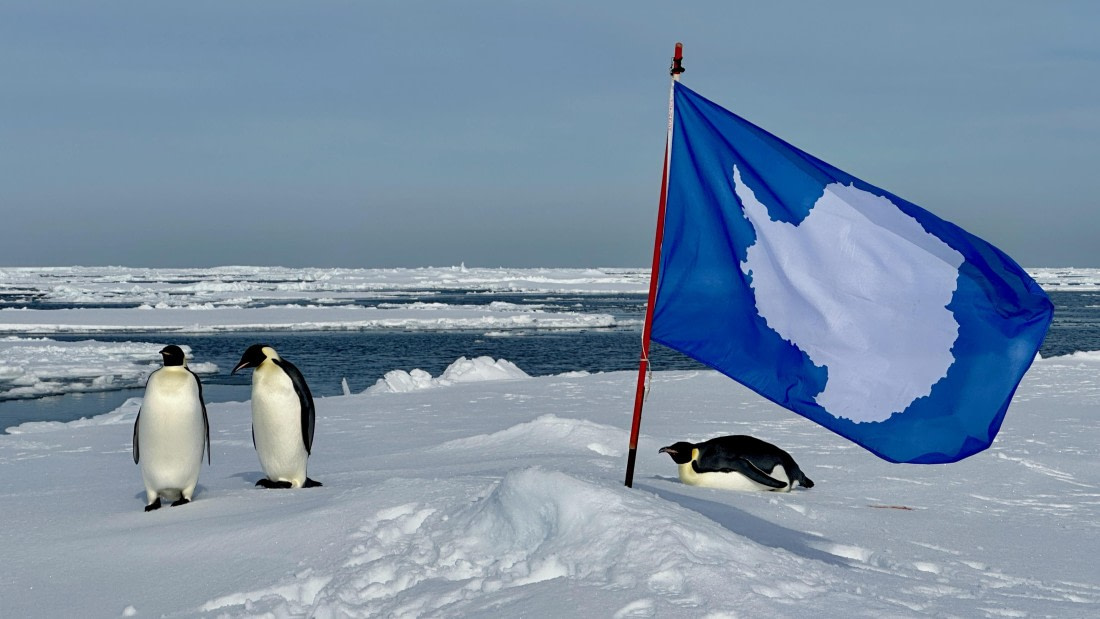 OTL30-25, Day 22, IMG_0860 © Unknown photographer - Oceanwide Expeditions.jpeg