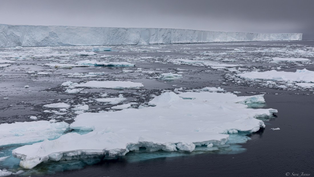 OTL30-25, Day 23, A76C © Sara Jenner - Oceanwide Expeditions.jpg