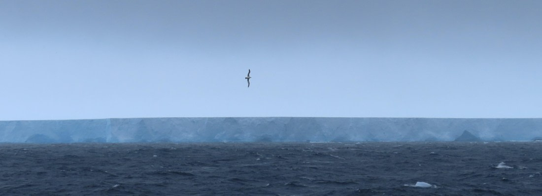 Flight over Iceberg A23a