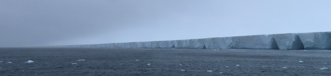 The largest iceberg in the world