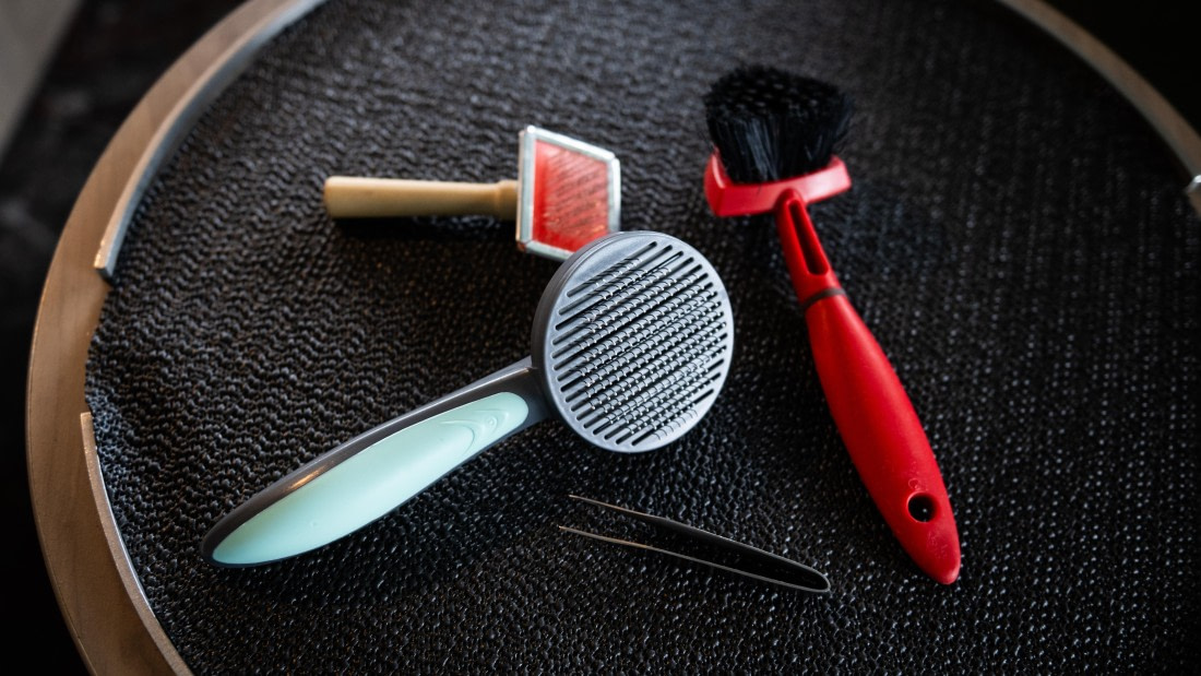 PLA31-25, Day 2, DSC_9312 © Unknown photographer - Oceanwide Expeditions.jpg