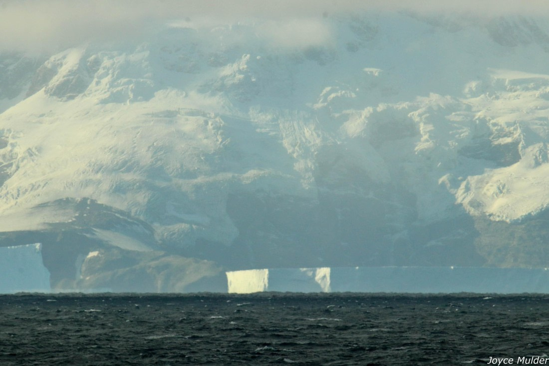 PLA31-25, Day 4, IMG_7356 © Joyce Mulder - Oceanwide Expeditions.jpg