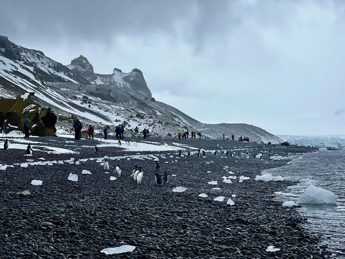 PLA31-25, Day 5, IMG_6653 © Unknown photographer - Oceanwide Expeditions.jpeg
