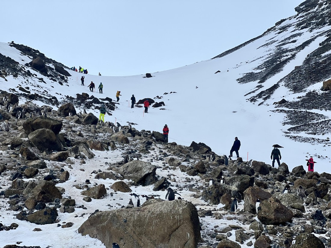 PLA31-25, Day 5, IMG_6655 © Unknown photographer - Oceanwide Expeditions.jpeg