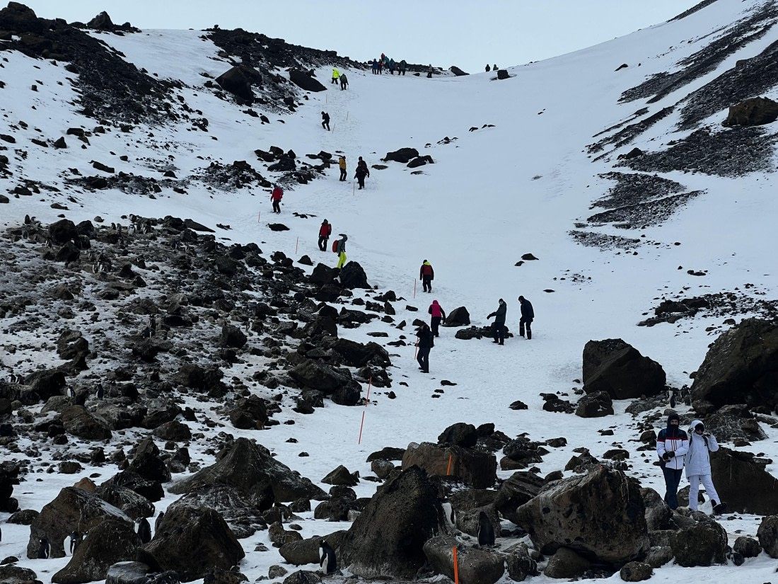 PLA31-25, Day 5, IMG_6657 © Unknown photographer - Oceanwide Expeditions.jpeg