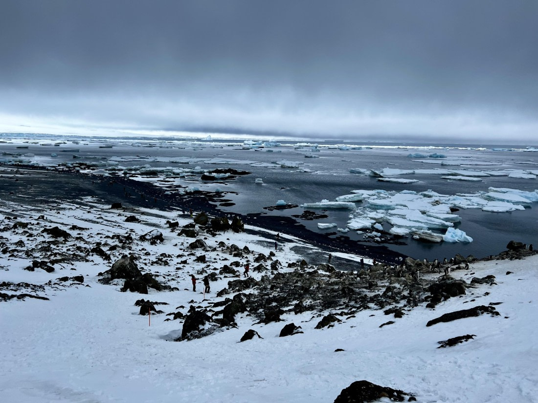 PLA31-25, Day 5, IMG_6665 © Unknown photographer - Oceanwide Expeditions.jpeg