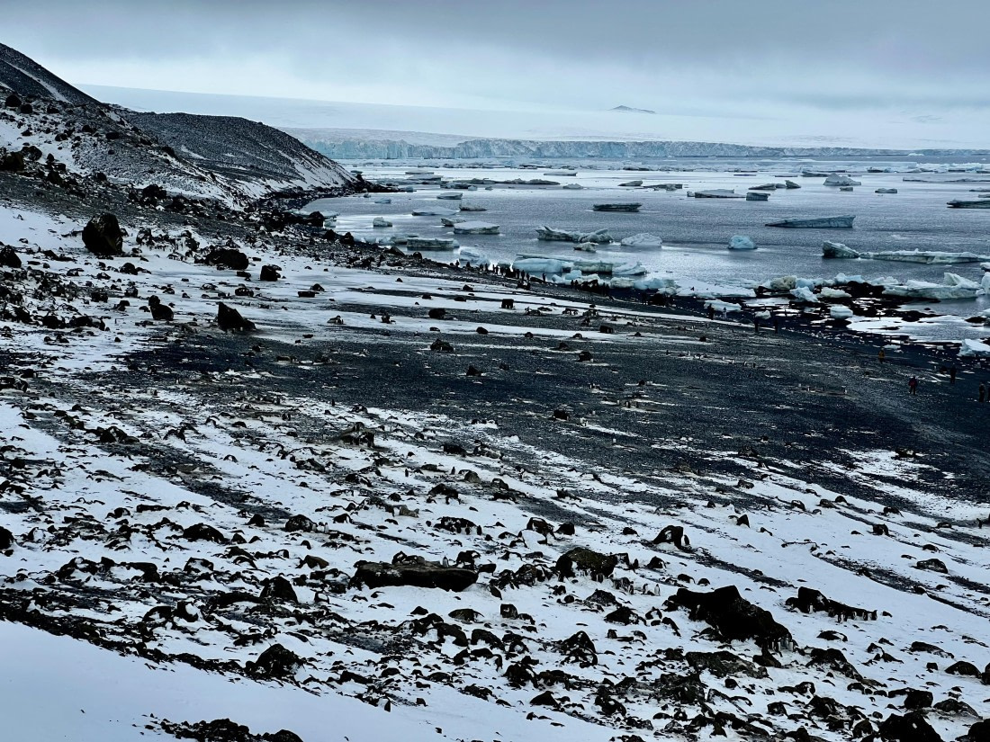 PLA31-25, Day 5, IMG_6666 © Unknown photographer - Oceanwide Expeditions.jpeg