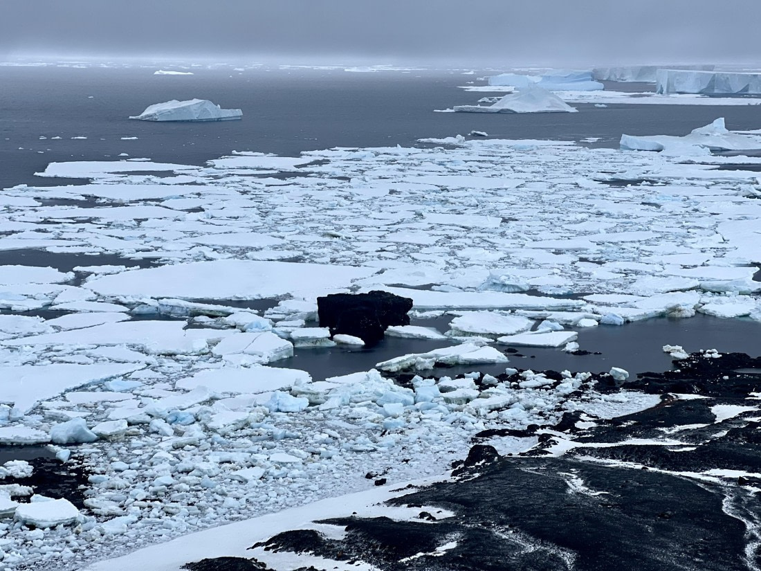 PLA31-25, Day 5, IMG_6669 © Unknown photographer - Oceanwide Expeditions.jpeg