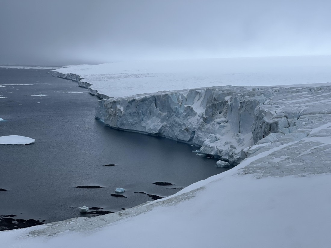 PLA31-25, Day 5, IMG_6671 © Unknown photographer - Oceanwide Expeditions.jpeg