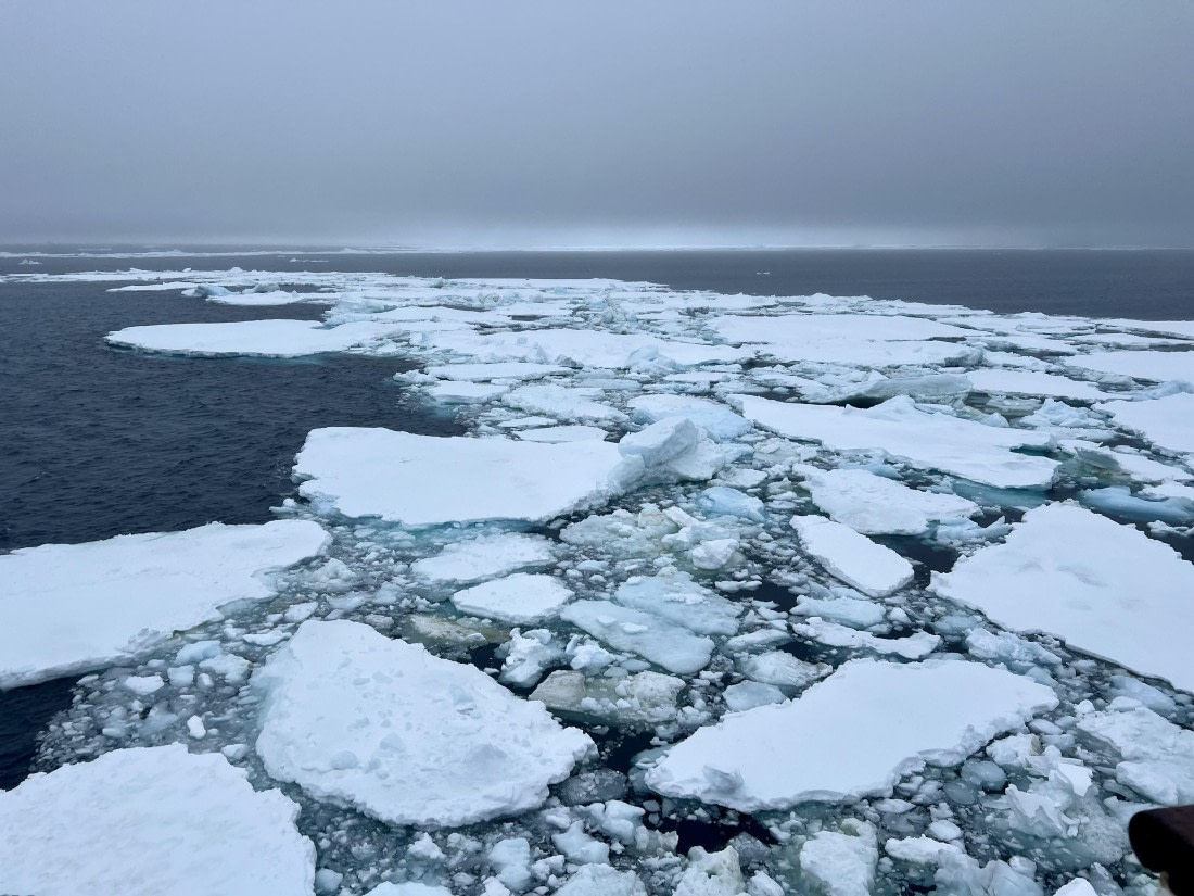 PLA31-25, Day 5, IMG_6682 © Unknown photographer - Oceanwide Expeditions.jpeg