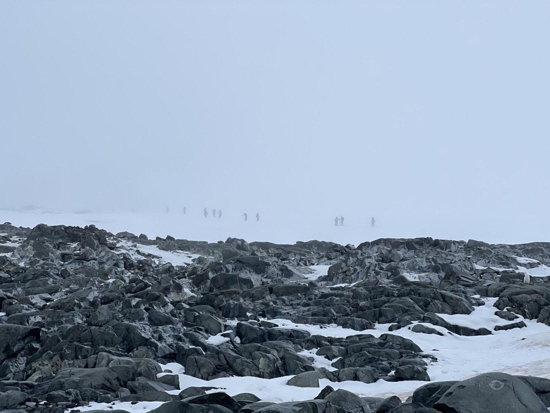 PLA31-25, Day 6, IMG_6746 © Unknown photographer - Oceanwide Expeditions.jpeg