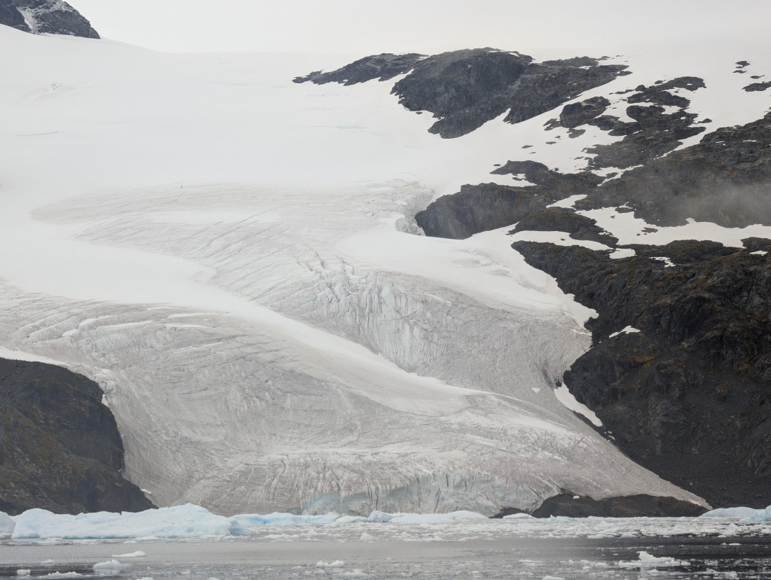 PLA31-25, Day 6, PXL_20250314_125402961 © Unknown photographer - Oceanwide Expeditions.jpg