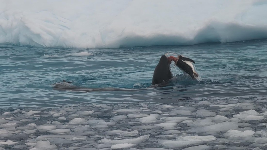 PLA31-25, Day 6, PXL_20250314_134703319_exported_64286 © Unknown photographer - Oceanwide Expeditions.jpg