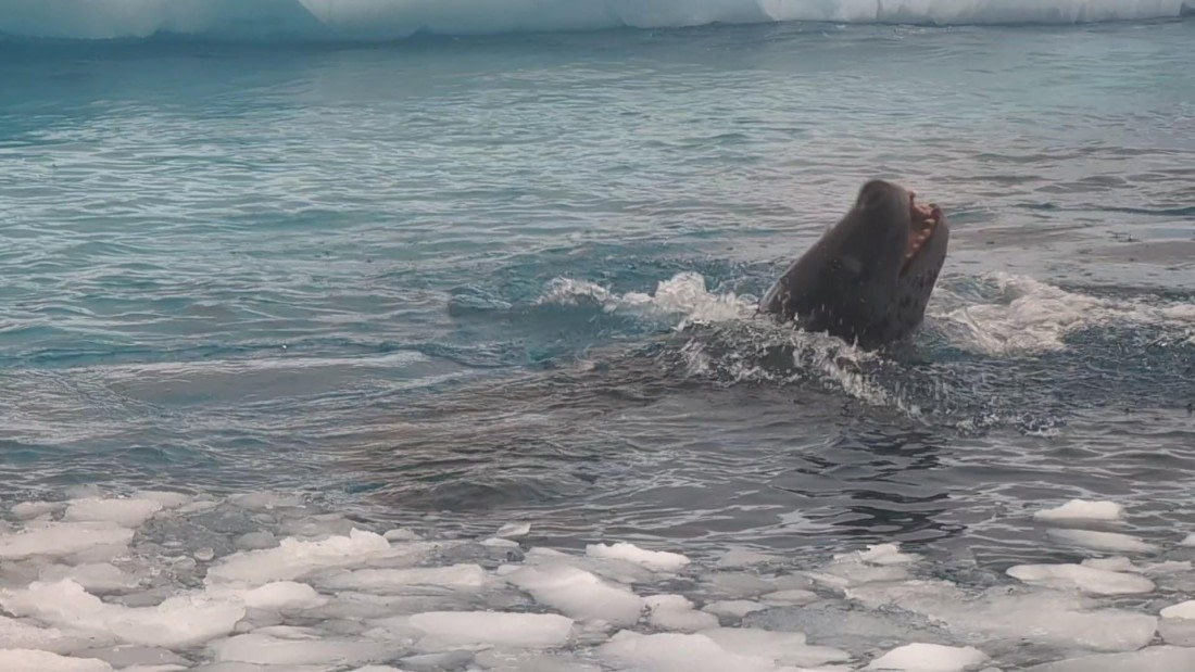 PLA31-25, Day 6, PXL_20250314_134848352_exported_14448 © Unknown photographer - Oceanwide Expeditions.jpg