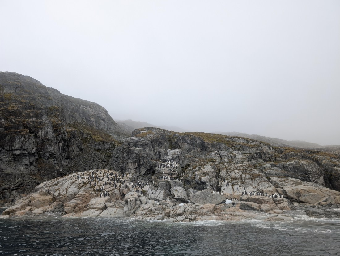 PLA31-25, Day 6, PXL_20250314_140128981 © Unknown photographer - Oceanwide Expeditions.jpg