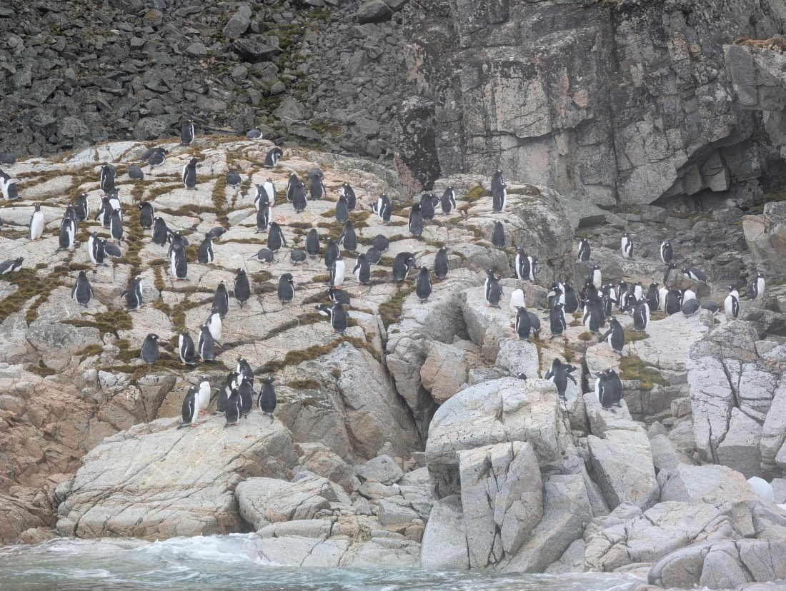 PLA31-25, Day 6, PXL_20250314_140134971 © Unknown photographer - Oceanwide Expeditions.jpg