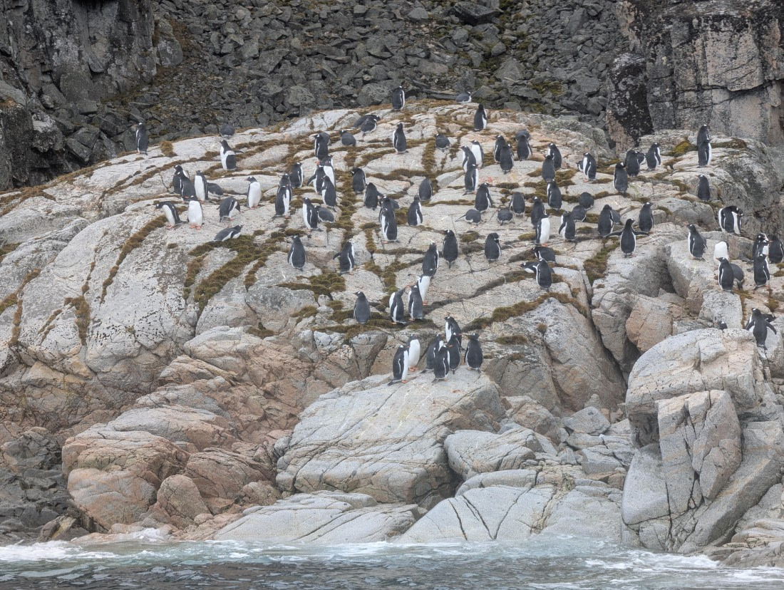 PLA31-25, Day 6, PXL_20250314_140141572 © Unknown photographer - Oceanwide Expeditions.jpg