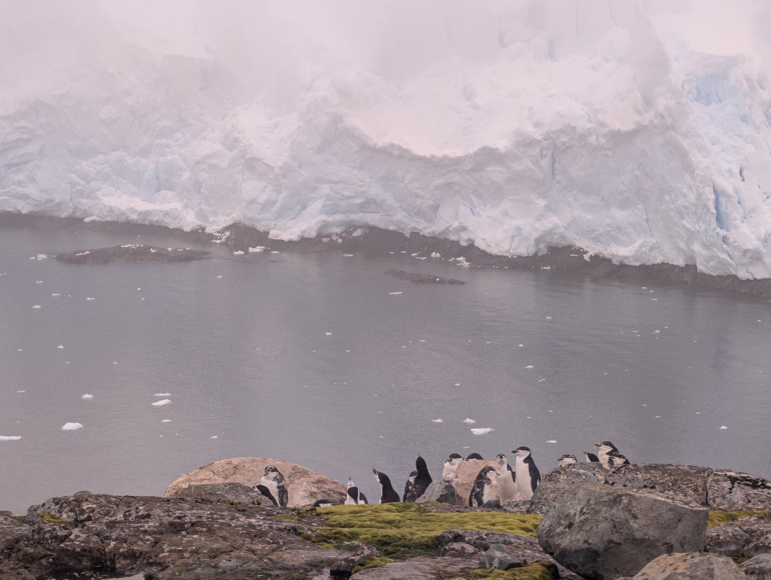 PLA31-25, Day 6, PXL_20250314_191335915 © Unknown photographer - Oceanwide Expeditions.jpg