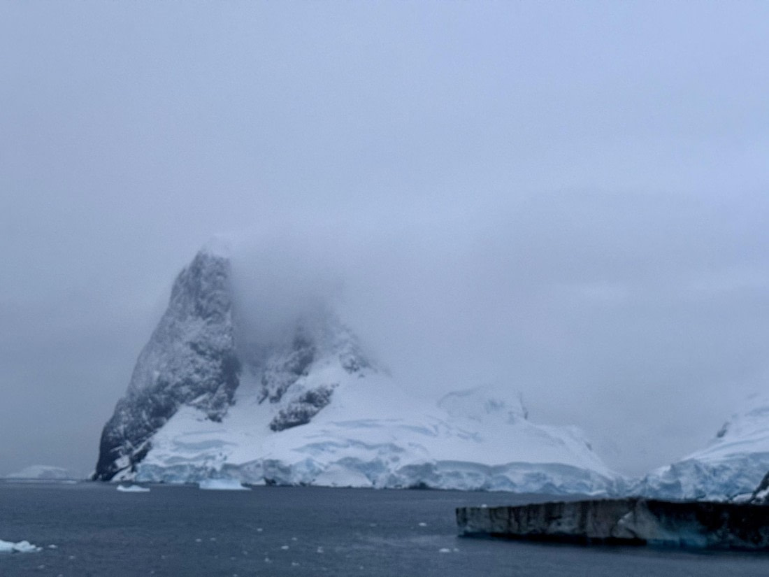 PLA31-25, Day 8, IMG_7809 © Unknown photographer - Oceanwide Expeditions.jpg