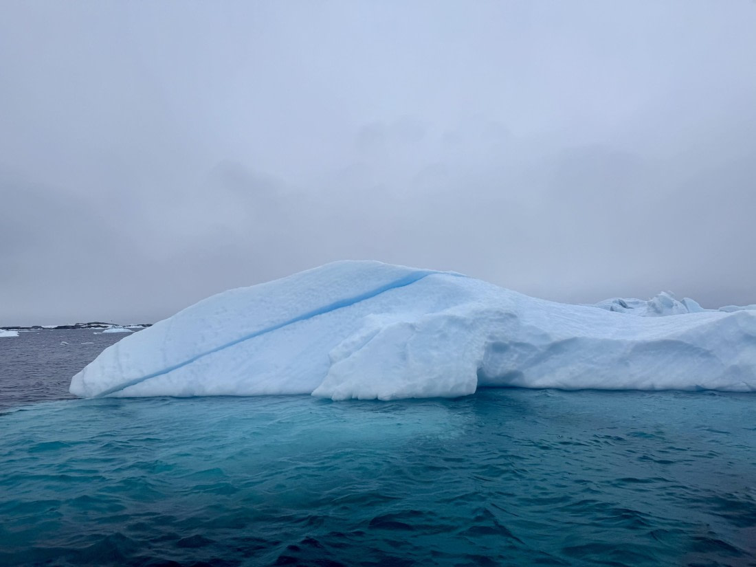 PLA31-25, Day 8, IMG_7832 © Unknown photographer - Oceanwide Expeditions.jpg