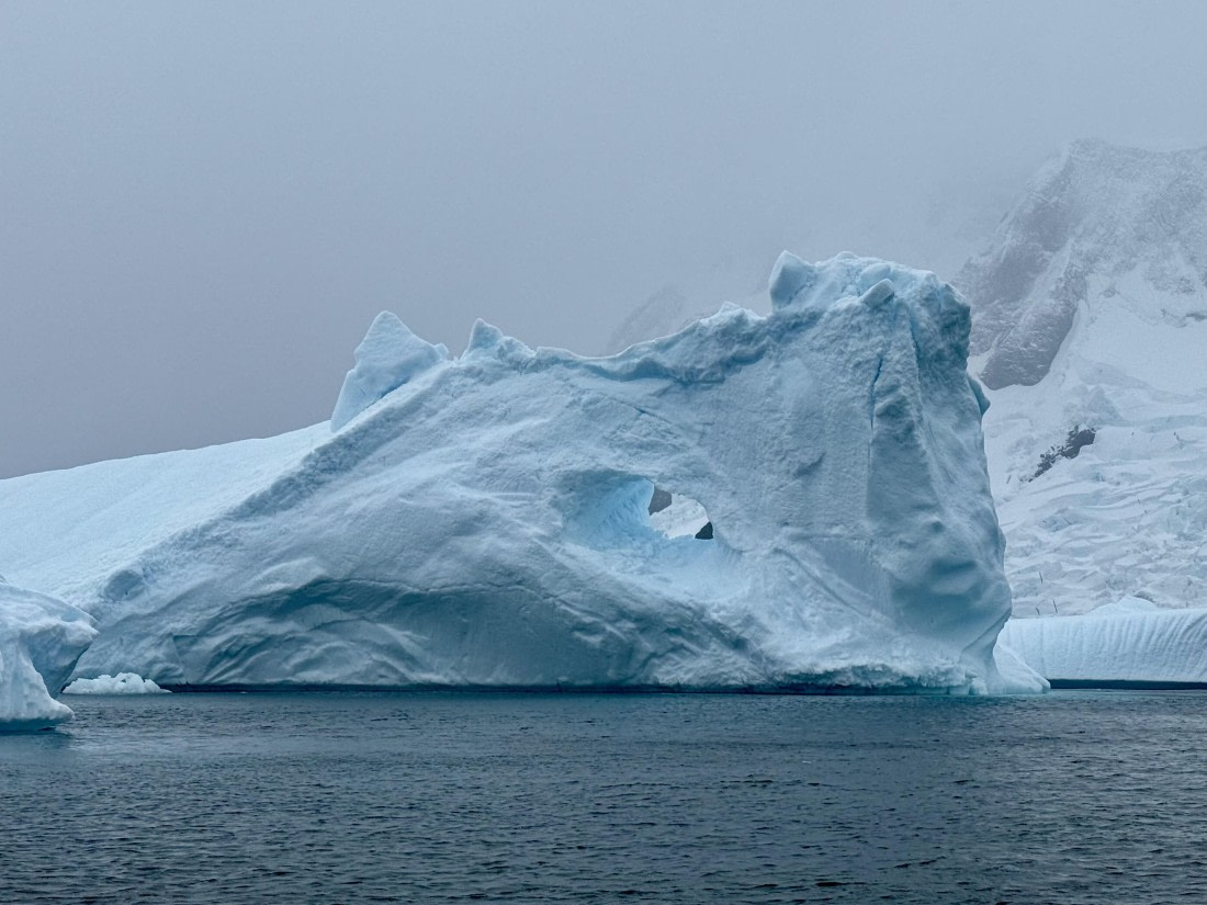 PLA31-25, Day 8, IMG_7833 © Unknown photographer - Oceanwide Expeditions.jpg