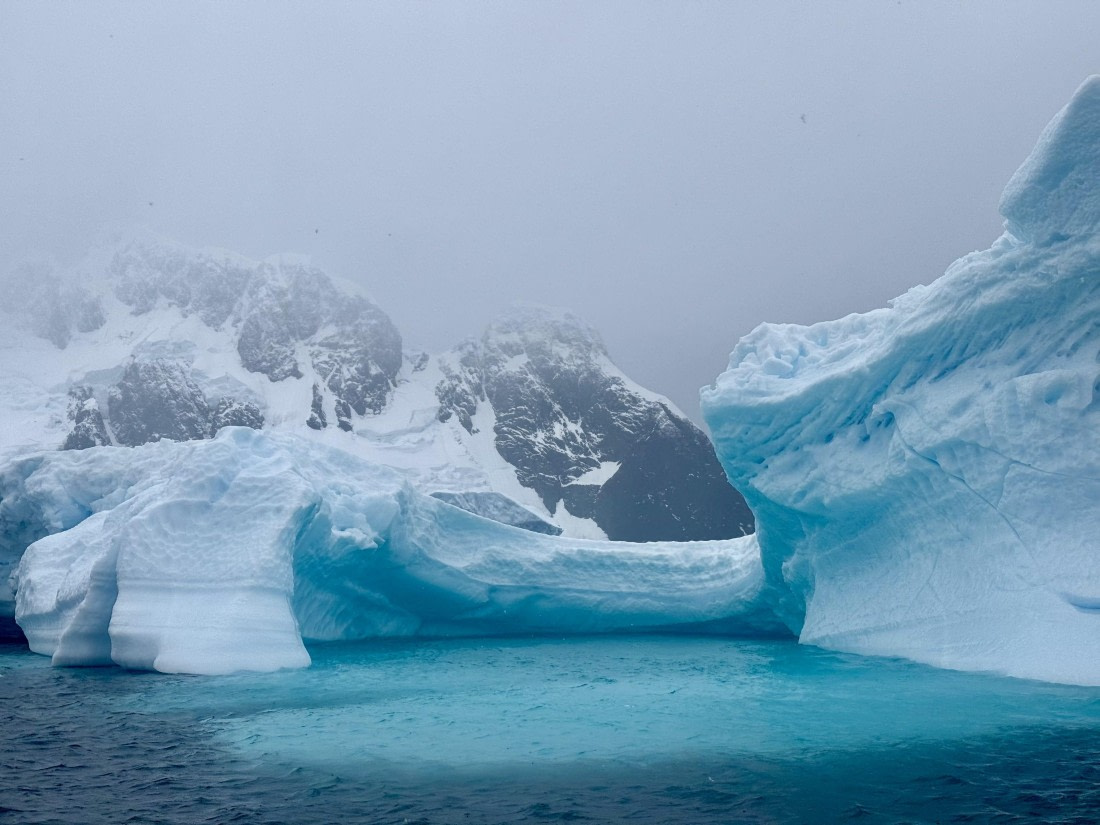 PLA31-25, Day 8, IMG_7838 © Unknown photographer - Oceanwide Expeditions.jpg