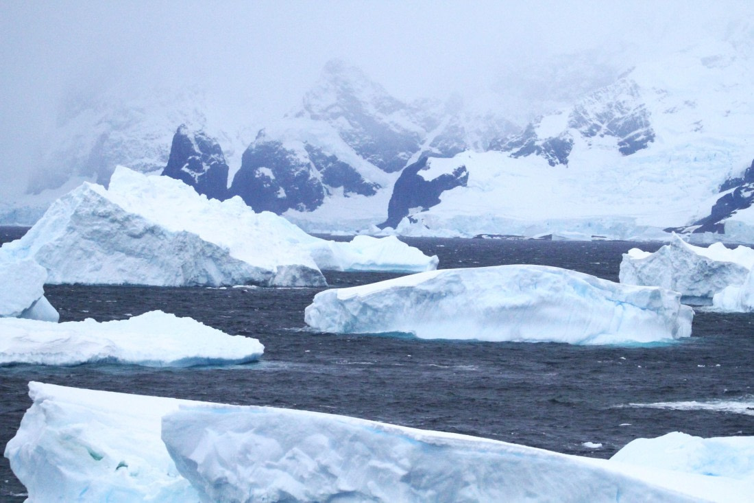 PLA31-25, Day 9, IMG_0989 © Unknown photographer - Oceanwide Expeditions.JPG