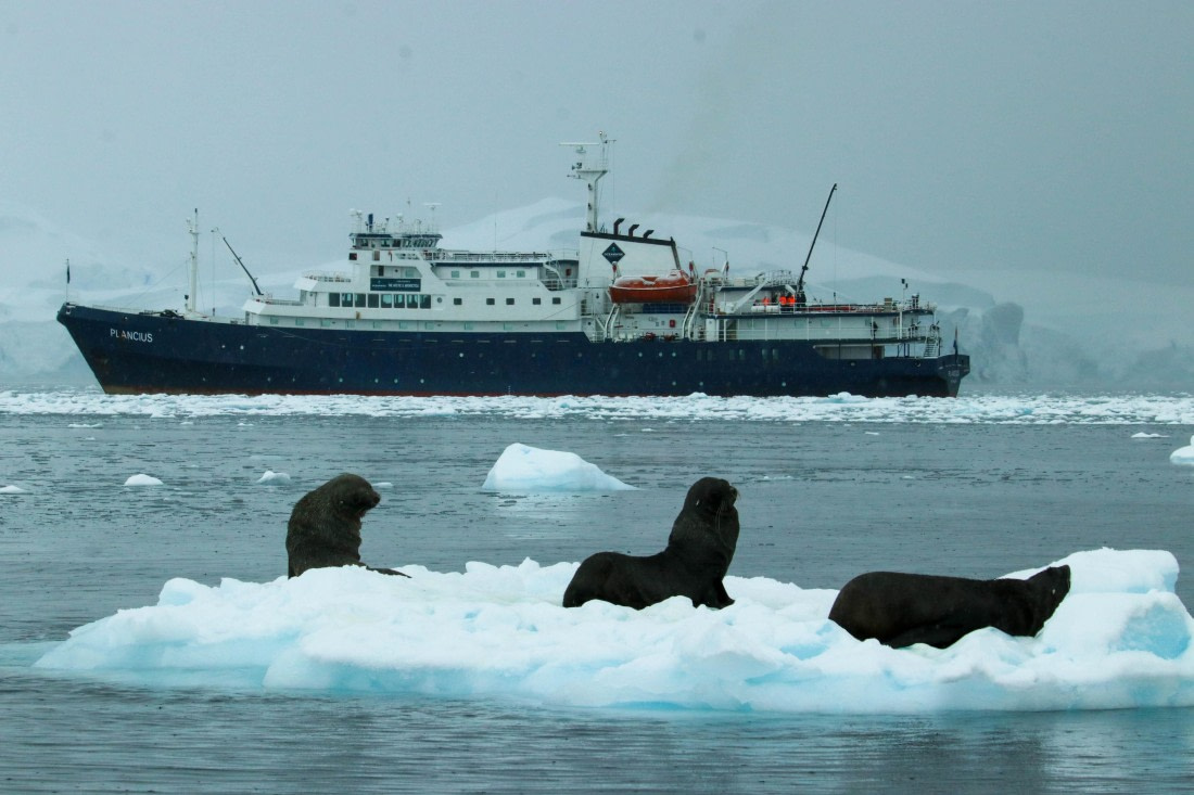 PLA31-25, Day 11, IMG_7499 © Joyce Mulder - Oceanwide Expeditions.jpg