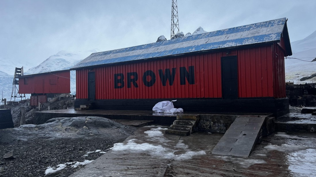 PLA31-25, Day 11, IMG_8119 © Unknown photographer - Oceanwide Expeditions.jpeg