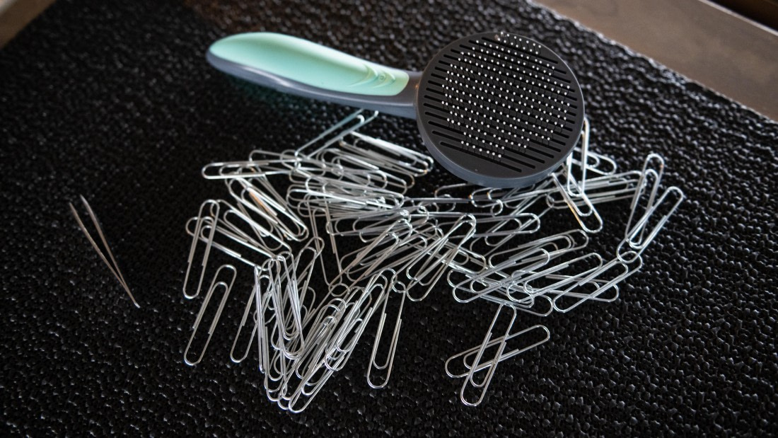 PLA31-25, Day 2, DSC_9308 © Unknown photographer - Oceanwide Expeditions.jpg