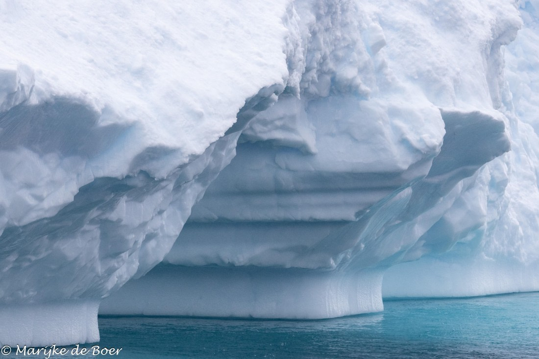 HDS30-25, Day 4, 20250317-398A4135 © Marijke de Boer - Oceanwide Expeditions.jpg