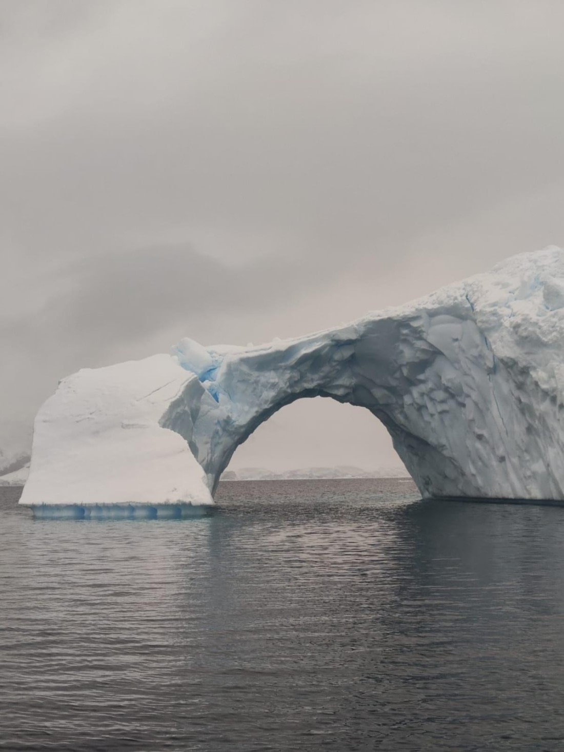 HDS30-25, Day 5, 04e7e9d1-0da5-4a93-b1a4-b25bf4b46249 © Unknown photographer - Oceanwide Expeditions.JPG