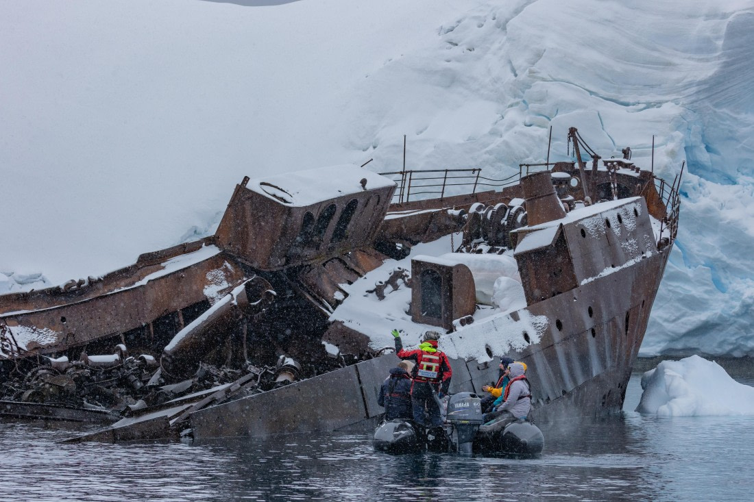 OTL31-25, Day 4, FZ1A4884 © Unknown photographer - Oceanwide Expeditions.jpg