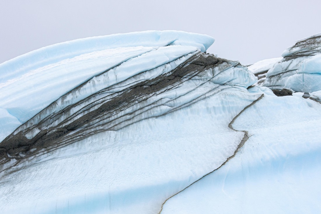 OTL31-25, Day 5, FZ1A4956 © Unknown photographer - Oceanwide Expeditions.jpg