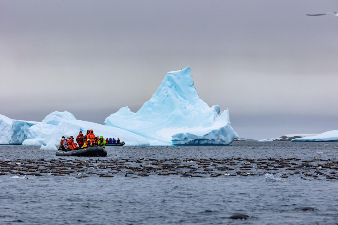 OTL31-25, Day 5, FZ1A4955 © Unknown photographer - Oceanwide Expeditions.jpg