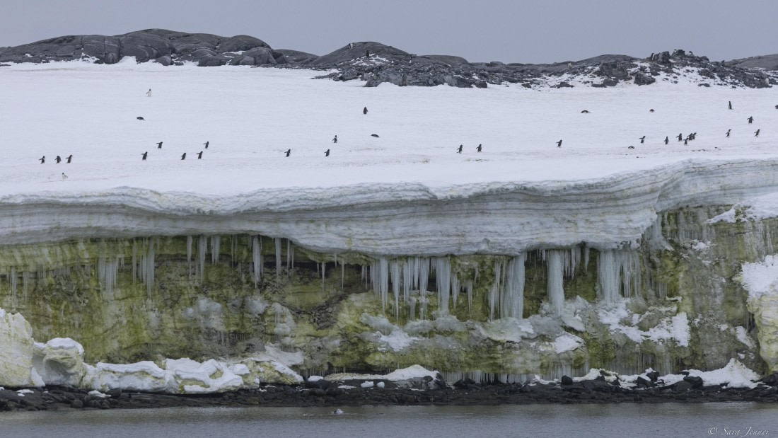 OTL31-25, Day 5, Port Charcot  3© Sara Jenner - Oceanwide Expeditions.jpg