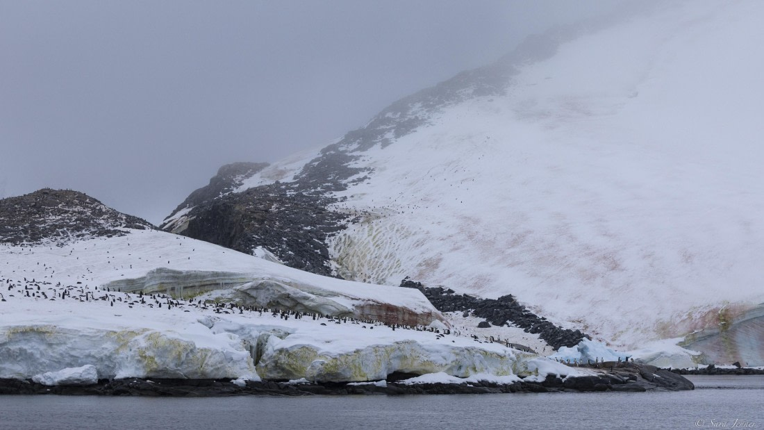OTL31-25, Day 5, Port Charcot 2© Sara Jenner - Oceanwide Expeditions.jpg