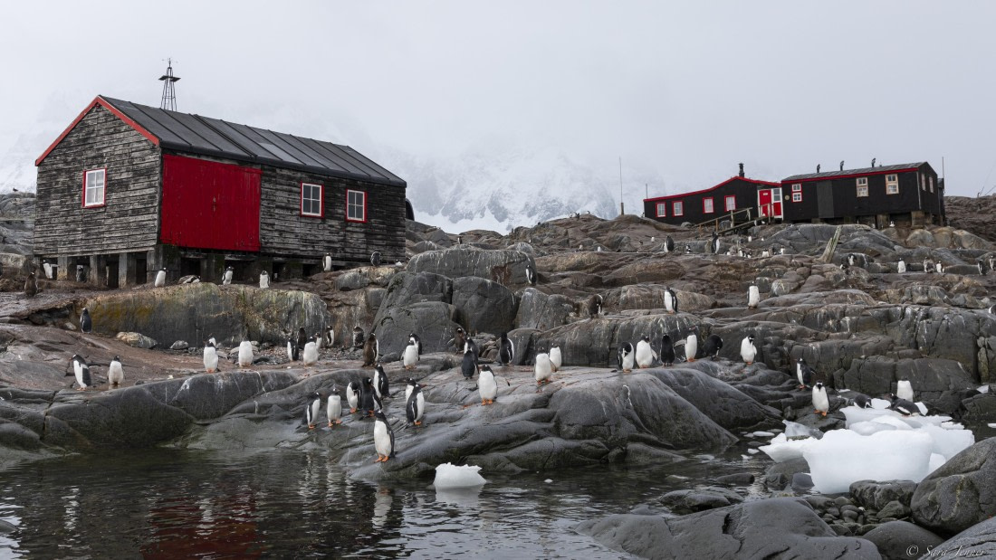 OTL31-25, Day 7, Port Lockroy 1© Sara Jenner - Oceanwide Expeditions.jpg