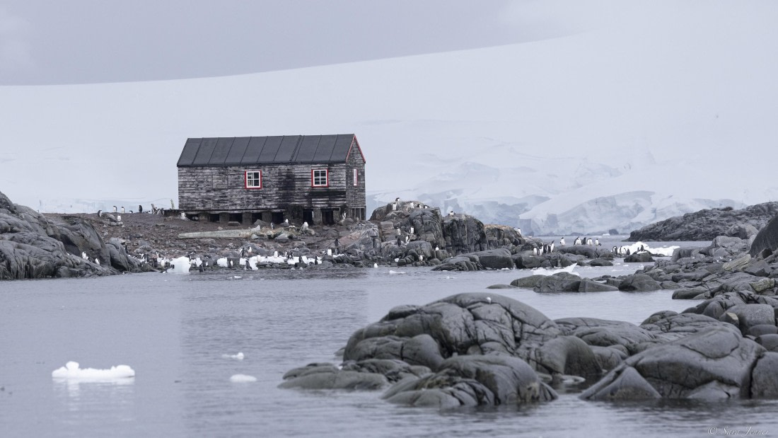 OTL31-25, Day 7, Port Lockroy© Sara Jenner - Oceanwide Expeditions.jpg