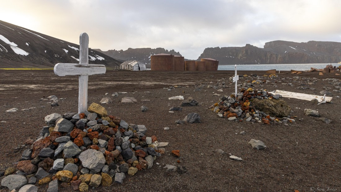 OTL31-25, Day 9, Whalers Bay 1© Sara Jenner - Oceanwide Expeditions.jpg