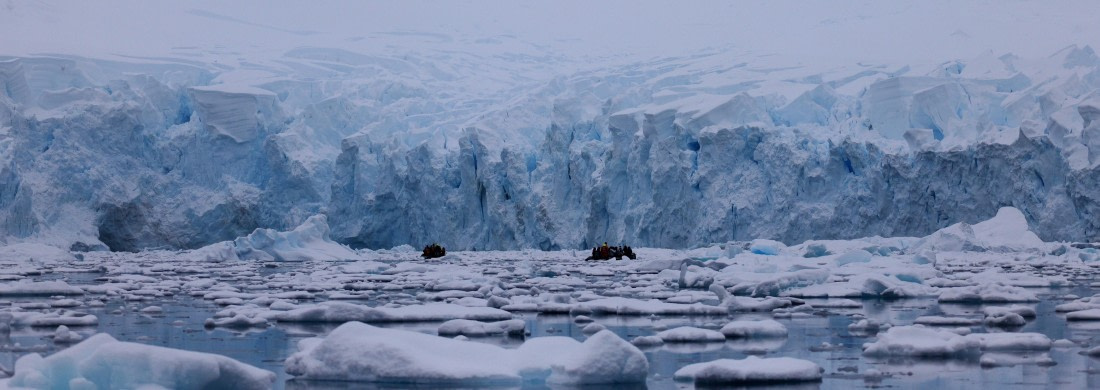 Paradise bay glacier