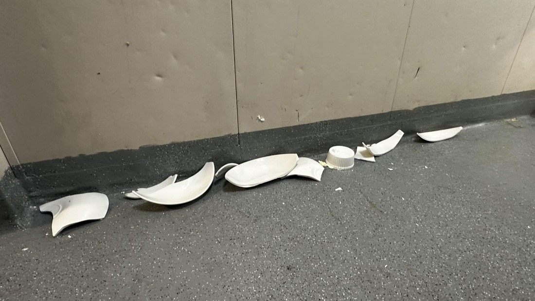 PLA32-25, Day 3, IMG_0362 © Unknown photographer - Oceanwide Expeditions.jpg