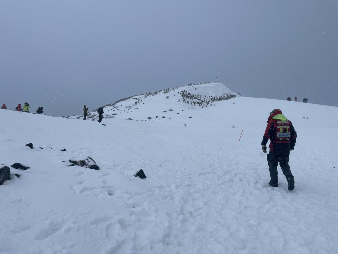 PLA32-25, Day 5, IMG_0378 © Unknown photographer - Oceanwide Expeditions.JPG