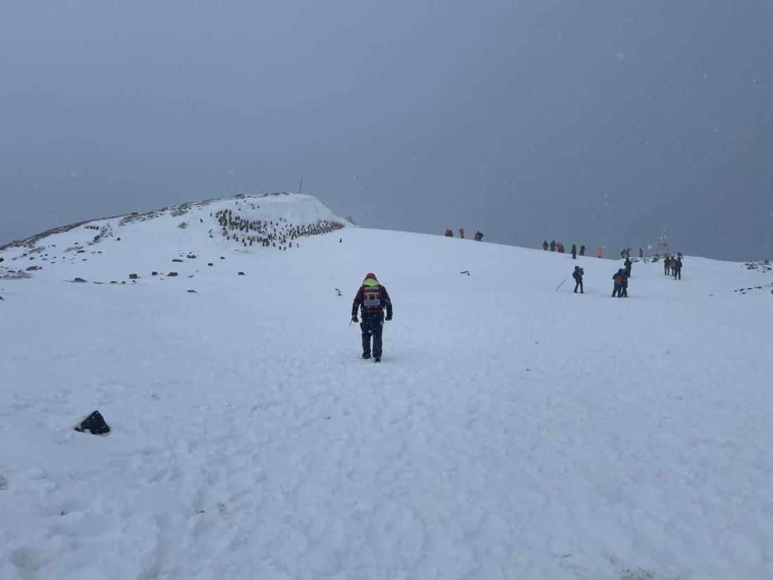 PLA32-25, Day 5, IMG_0379 © Unknown photographer - Oceanwide Expeditions.JPG